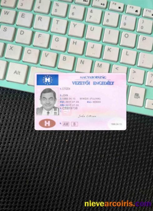 Hungary driving license photolook